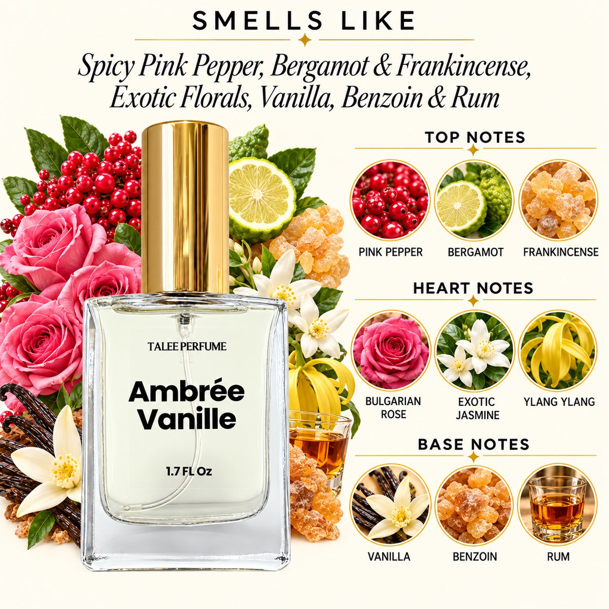 Ambree Vanille fragrance notes guide