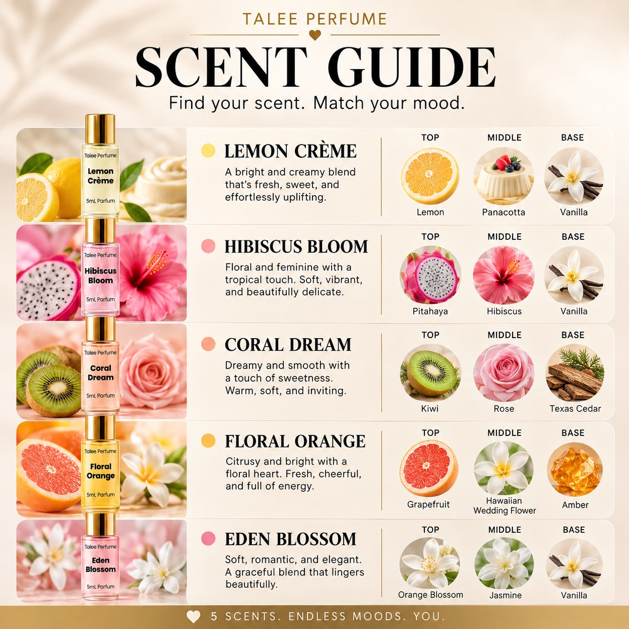 Talee Perfume Discovery Set scent guide