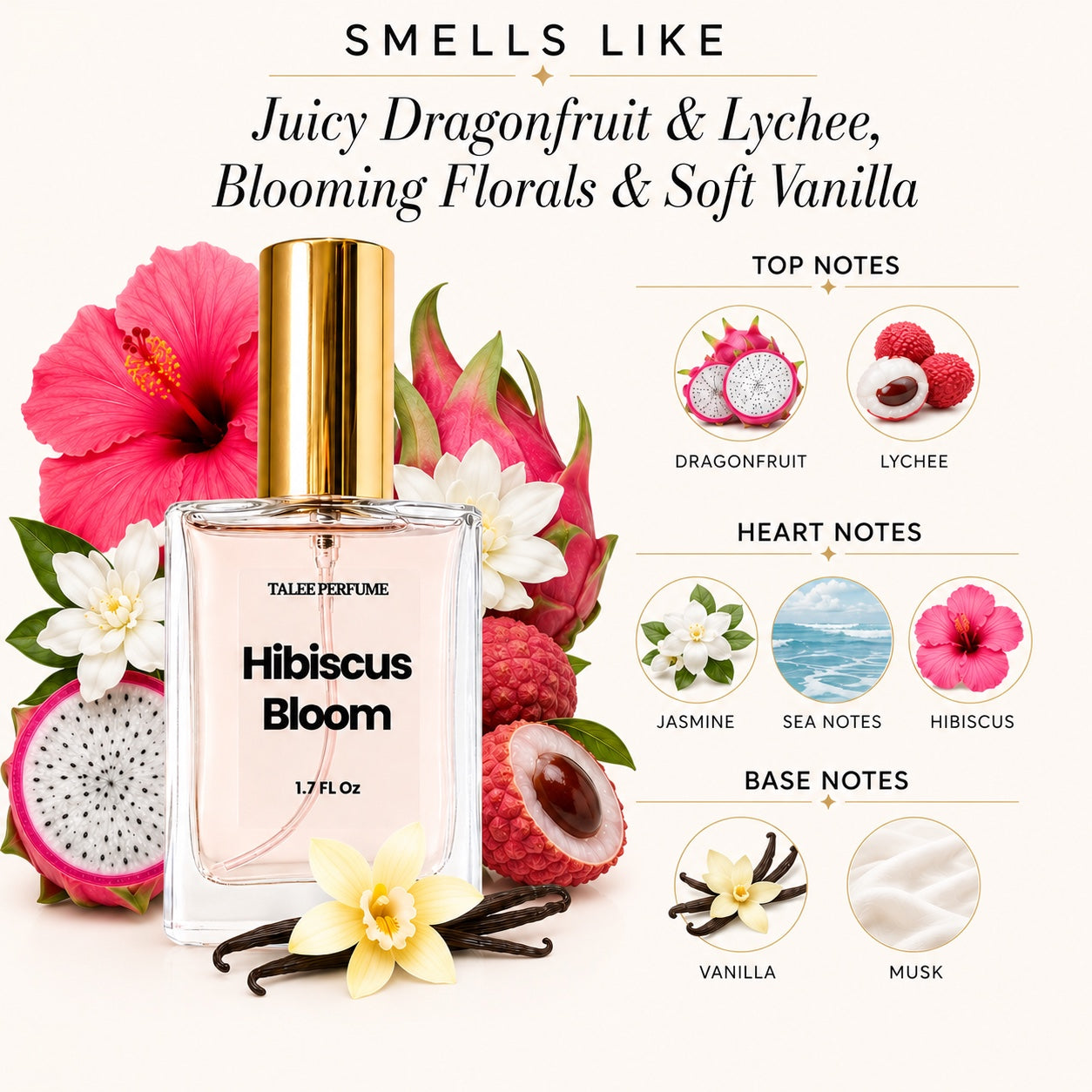 Hibiscus Bloom fragrance notes graphic